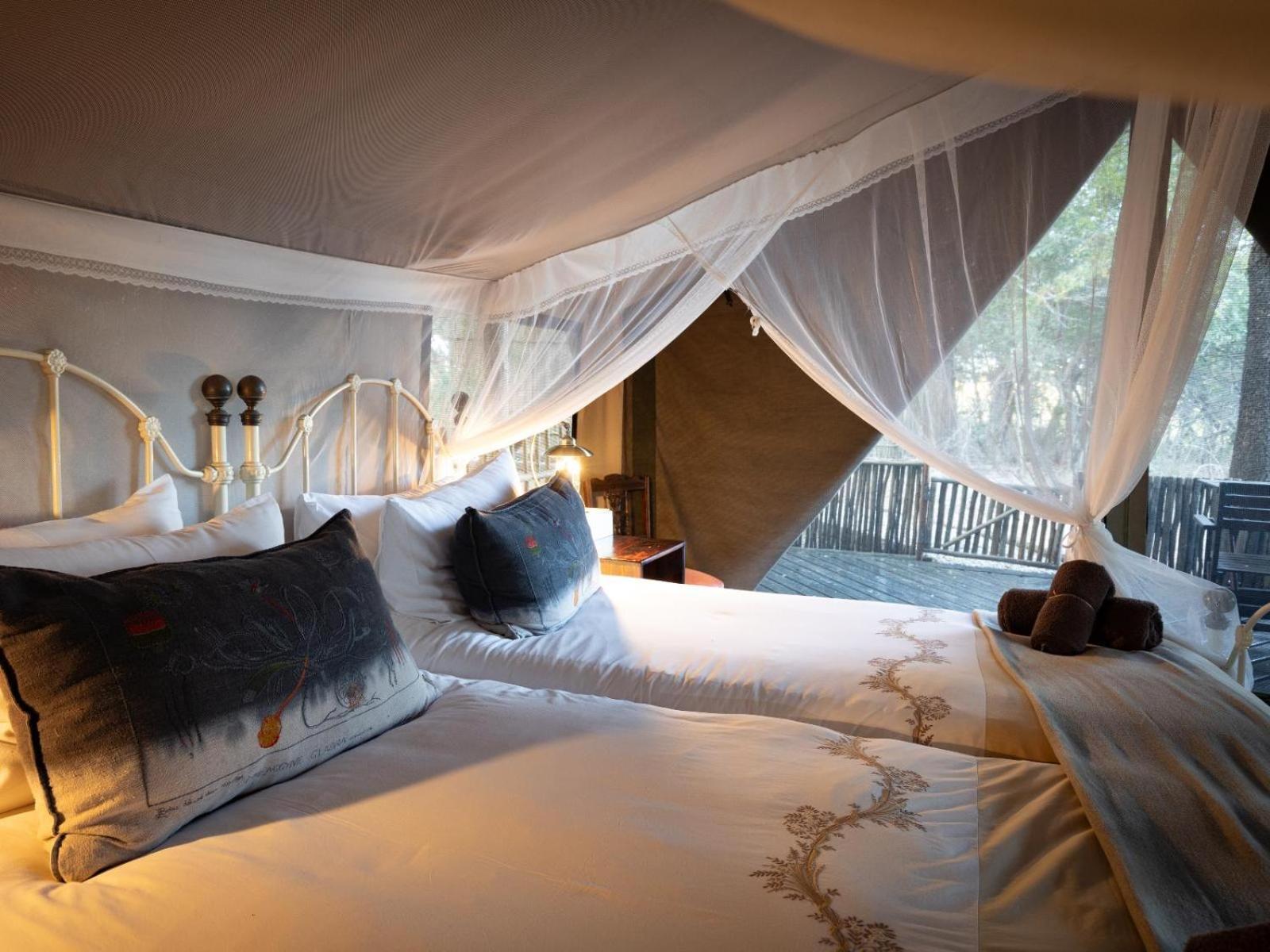 Kwambili Game Lodge Thornybush Game Reserve Bilik gambar