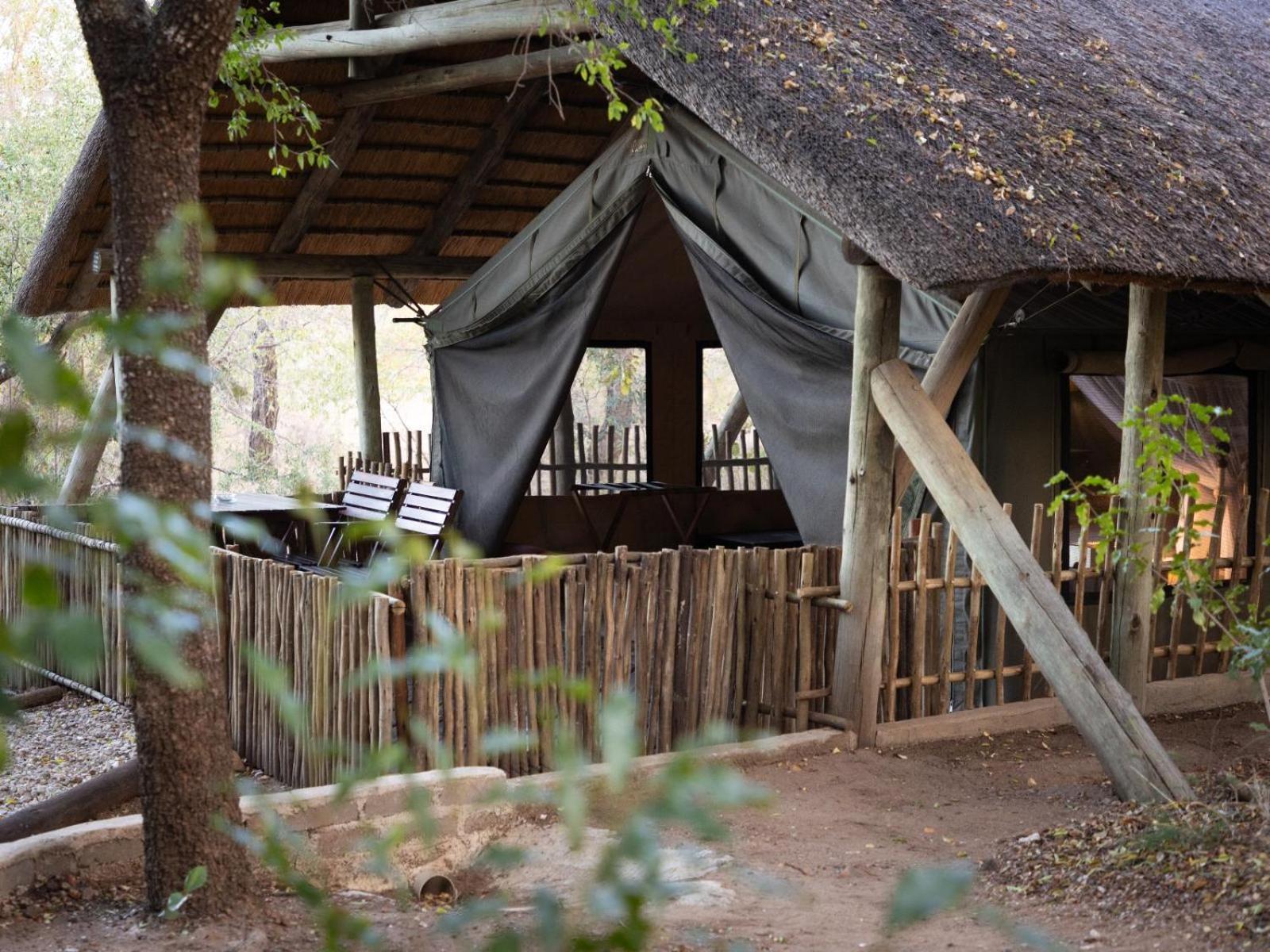 Kwambili Game Lodge Thornybush Game Reserve Luaran gambar