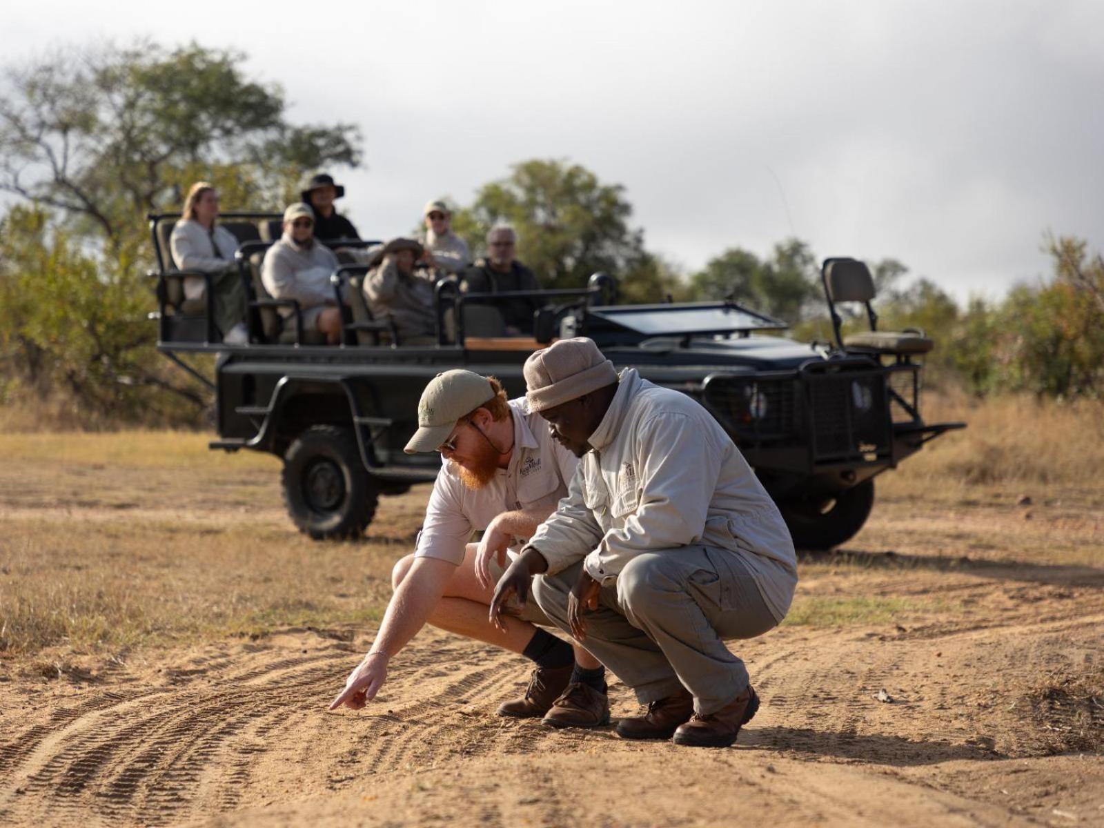 Kwambili Game Lodge Thornybush Game Reserve Luaran gambar