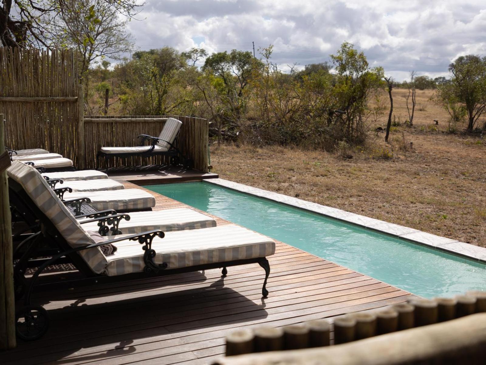 Kwambili Game Lodge Thornybush Game Reserve Luaran gambar