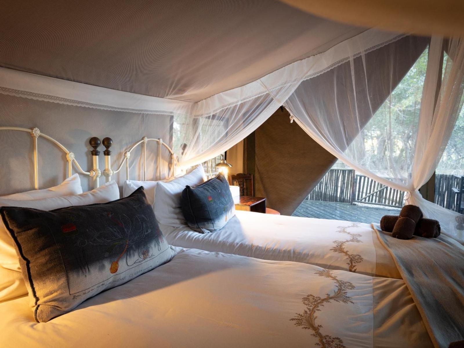 Kwambili Game Lodge Thornybush Game Reserve Luaran gambar
