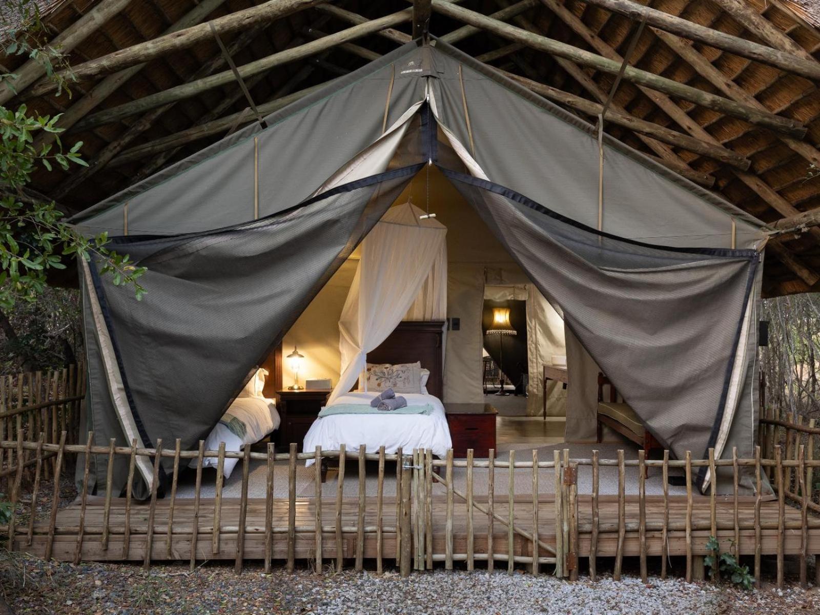 Kwambili Game Lodge Thornybush Game Reserve Luaran gambar