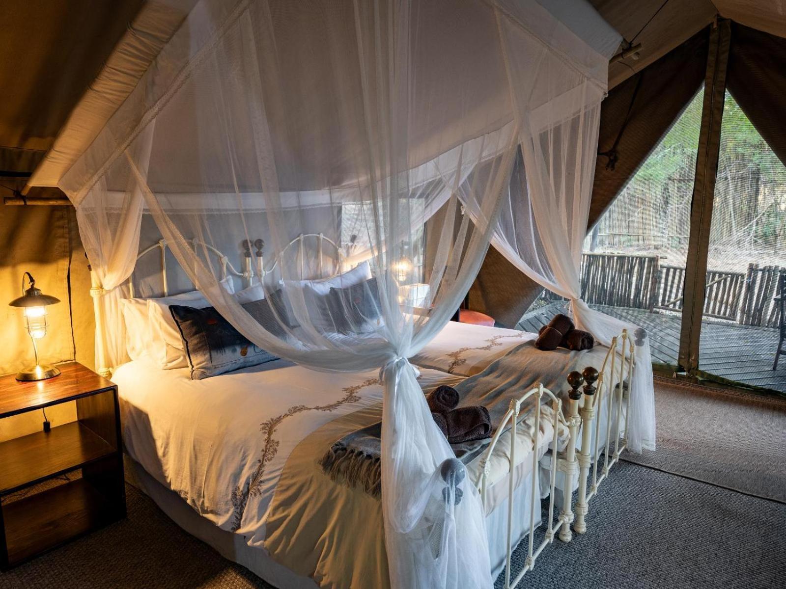 Kwambili Game Lodge Thornybush Game Reserve Bilik gambar