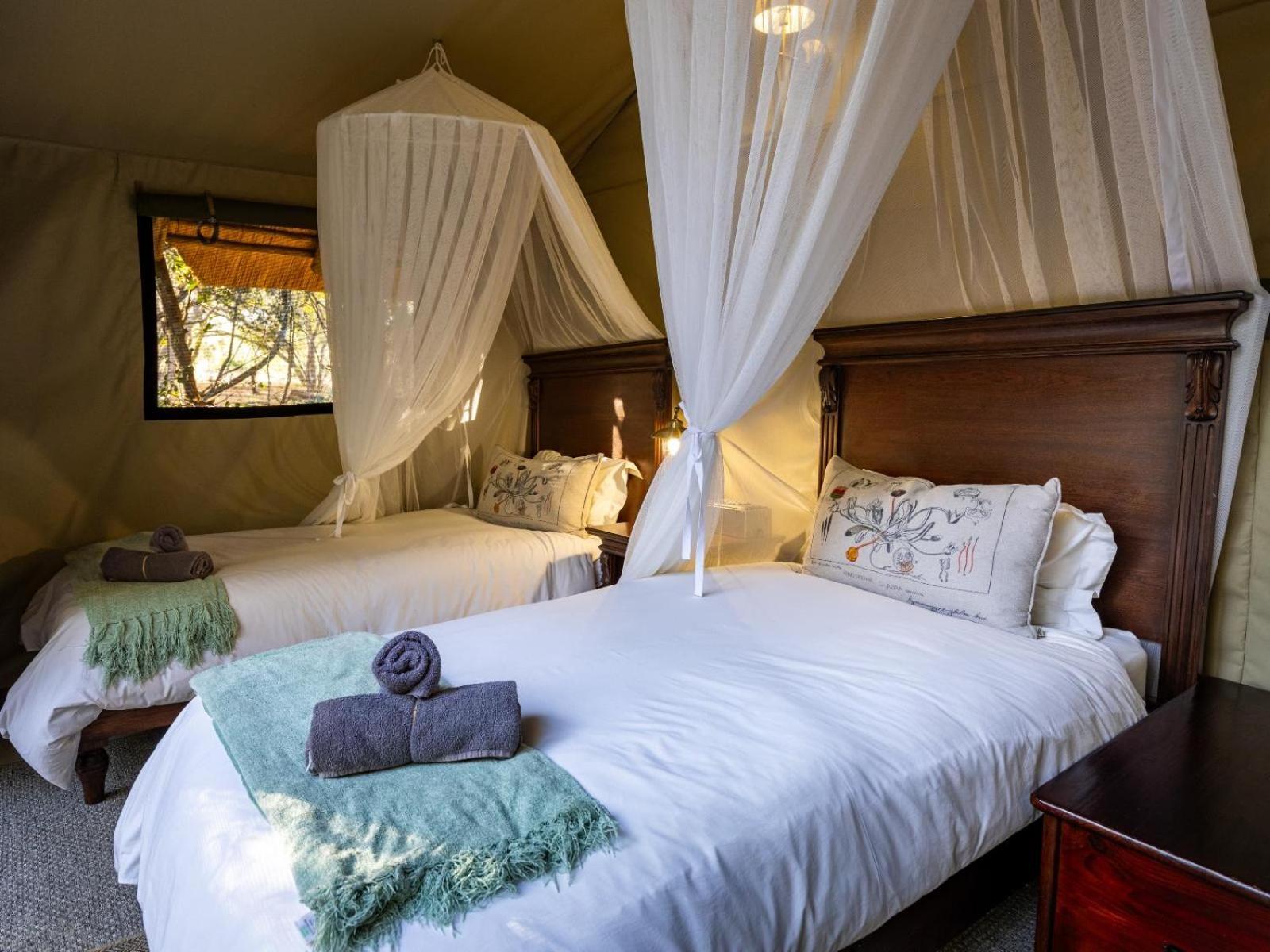 Kwambili Game Lodge Thornybush Game Reserve Luaran gambar