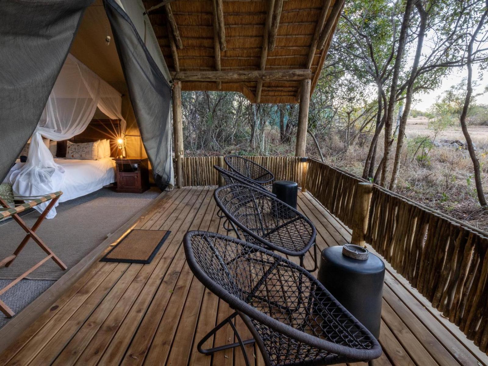 Kwambili Game Lodge Thornybush Game Reserve Bilik gambar